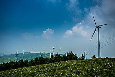 国产JRPG《梦灯花》11月28日发售，线下试玩会举办成功